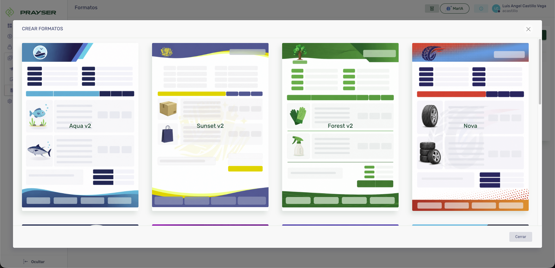 Formatos: Selección de Diseño